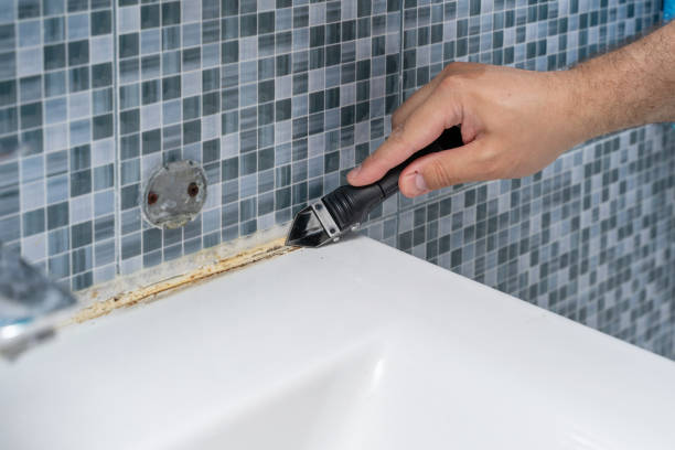 Home Mold Removal in Hopkins, MN